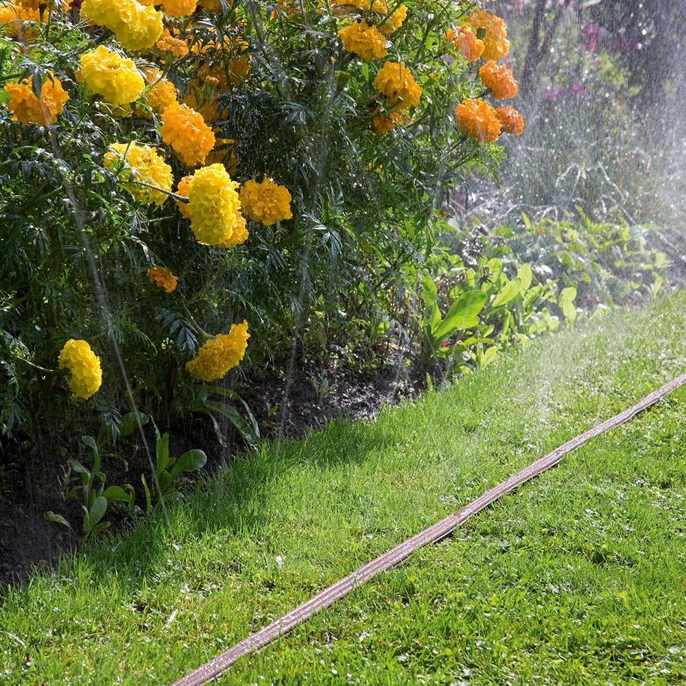 Шланг поливочный Gardena 01999-20 3