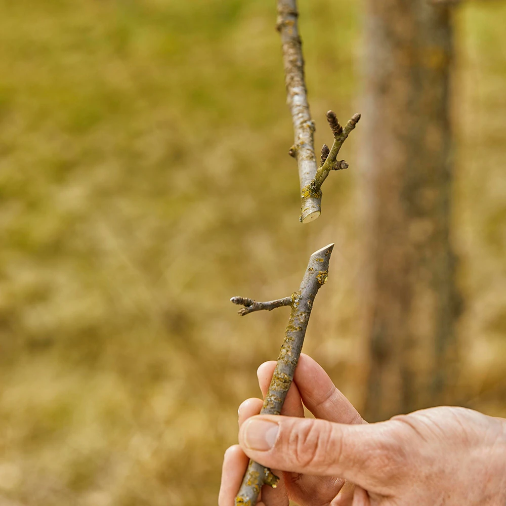 Секатор Gardena 12203-20 3