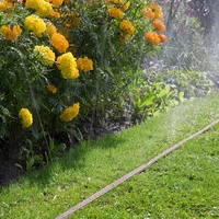 Шланг поливочный Gardena 01999-203