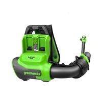Воздуходувка Greenworks 24081071