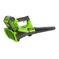 Воздуходувка Greenworks G40ABK4 (40V с АКБ и ЗУ)2
