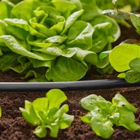 Шланг Gardena 01346-202