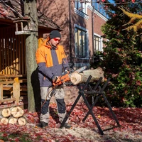 Пила цепная Daewoo DACS 1900E10