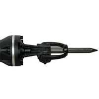 Отбойный молоток DeWALT D25981-QS2