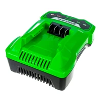 Зарядное устройство Greenworks G24C4 (2946407)2