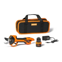 Секатор Daewoo DAGP 3216Li SET1