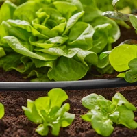 Шланг Gardena 01347-203