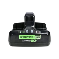 Зарядное устройство Greenworks G60DC102