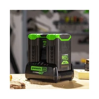 Зарядное устройство Greenworks G60DC103