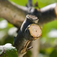 Секатор Gardena 08798-202