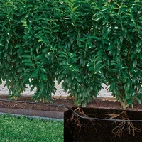 Шланг Gardena 13503-204